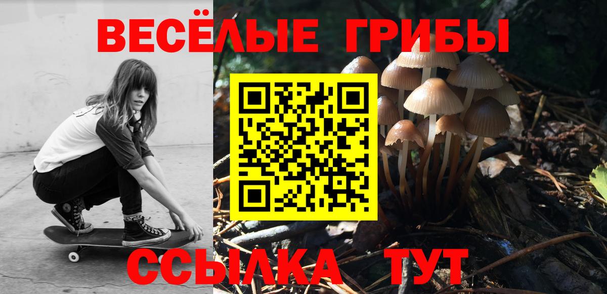 дарнет шоп  Галлюциногенные грибы Psilocybine cubensis  Вход с VPN  Богородск 